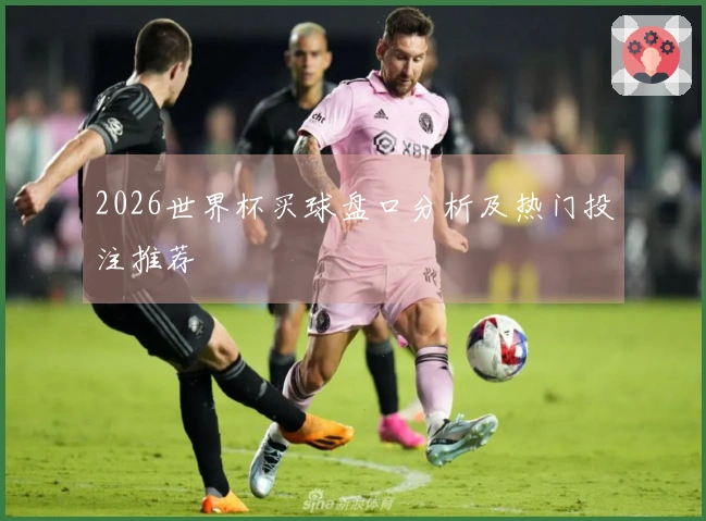 2026世界杯买球盘口分析及热门投注推荐